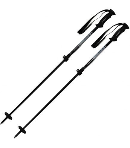 Amazon | HART(ハート) スキー ポール CA-AJS オレンジ_カーボンAJS